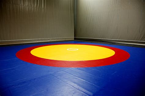 The Wrestling Mat Into The Hall Stock Photo Download Image Now Istock