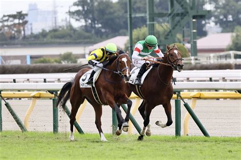 【新馬東京5r】断然人気 ソールオリエンスがデビューv 競馬ニュースなら競馬のおはなし