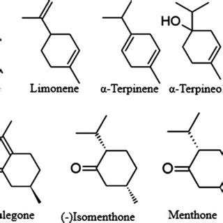 Structures Of Diterpenoids And Pentacyclic Triterpenes From Agastache