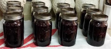 Canning Blueberries Step By Step Bramble Wine Cottage