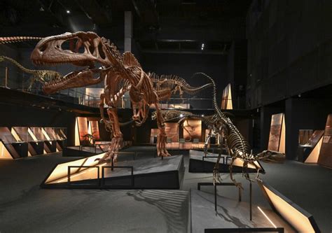 Dinosaurs From Patagonia Exhibition At Cosmocaixa Science Museum