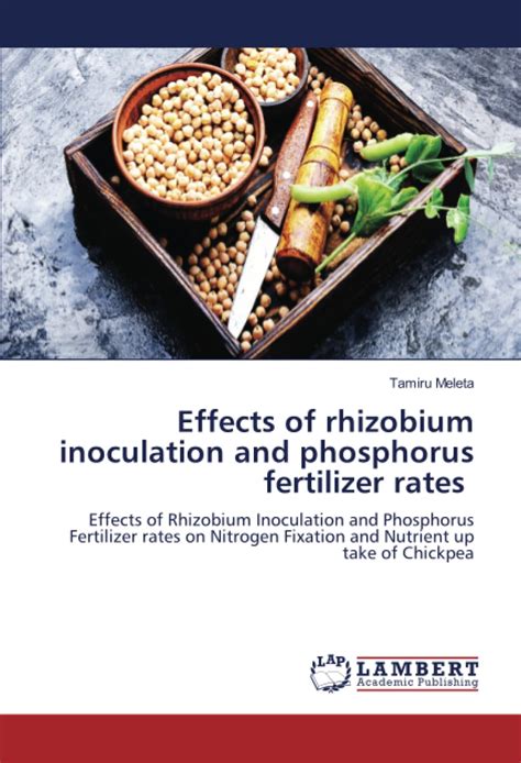 Effects Of Rhizobium Inoculation And Phosphorus Fertilizer Rates