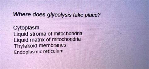 Solved Where Does Glycolysis Take Place Cytoplasm Liquid Stroma Of Mitochondria Liquid Matrix