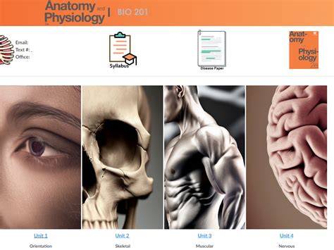 Bio 201 Human Anatomy And Physiology I Oer Commons