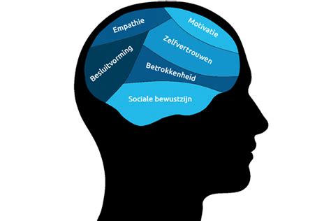 Emotionele Intelligentie Een Ondergeschoven Kindje Places Nl