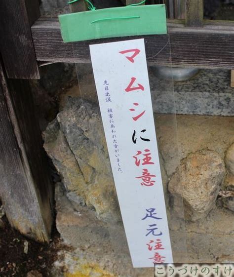 弁財天白龍王大権現とは何か 「白蛇」伝説とご利益【永平寺町】 福井県伝承浪漫