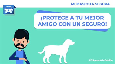 ¿cómo Puedo Proteger A Mi Perro Con Un Seguro