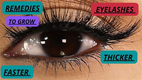 How To Grow Long Thick Eyelashes Quickly Grow Thick Long Eyelashes Naturally Healthsecret