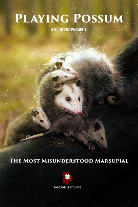 Playing Possum Posters — The Movie Database Tmdb