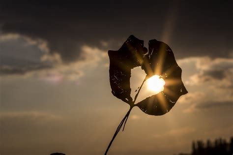 Tre Ferite Che Non Chiuderete Mai E L Amore Che Non Stato La Mente