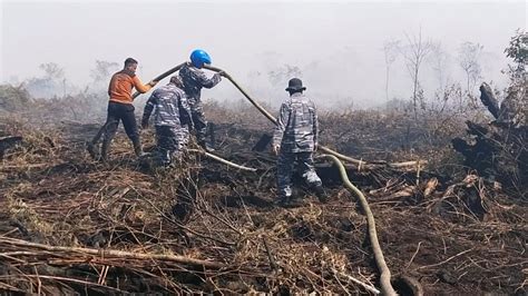 Kabar Baik Kebakaran Lahan Gambut 5 5 Ha Di Aceh Barat Mulai Padam