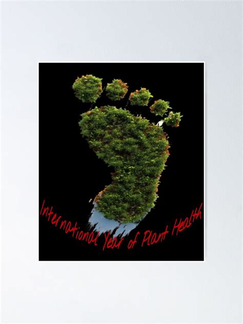International Year Of Plant Healthfootprint Ecological Footprint