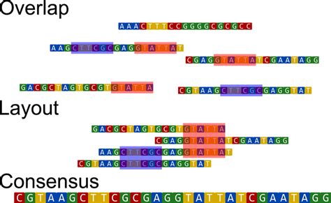 The OverlapLayoutConsensus Scheme Follows A Threestep Approach