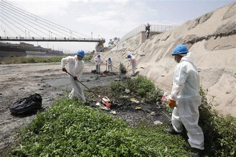 Brigadas De Limpieza Recogieron Siete Toneladas De Basura Y