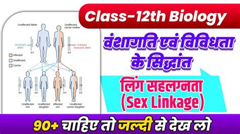 लिंग सहलग्नता Sex Linkage 12th Biology Ch 4 वंशागति तथा विविधता के