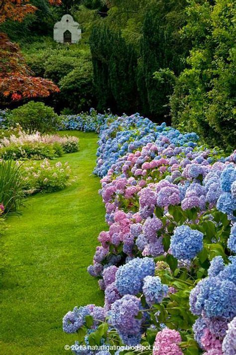 20 Dreamy Hydrangea Gardens That Are Giving Us Major Inspiration