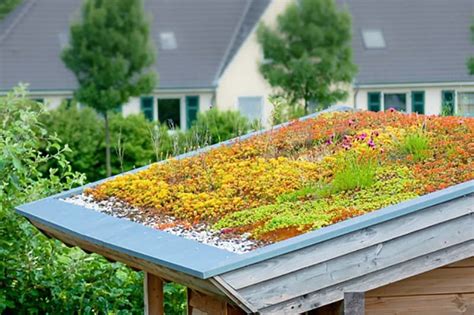 Tipps Zur Dachbegr Nung Gartenhaus De