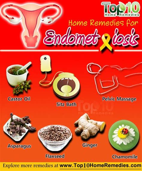 Herbal Remedies For Endometriosis