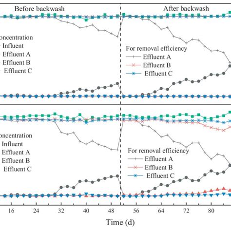 Fluctuations In Effluent Concentration Percent Removal Of NO 3 N A