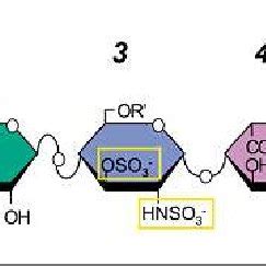 Structureofthe antithrombin-binding region in heparin. The ...