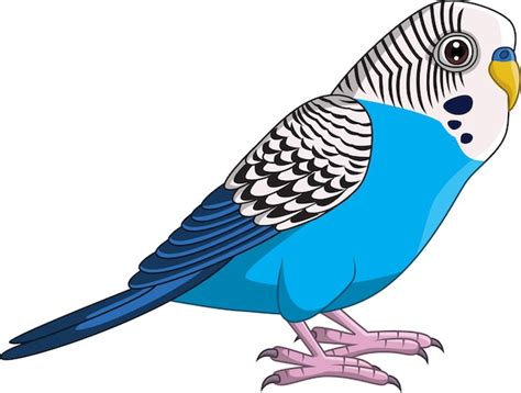 Perico Periquito Azul De Dibujos Animados Sobre Fondo Blanco Vector