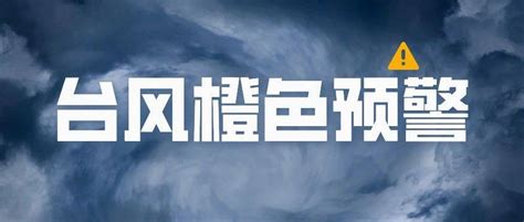 台风橙色预警！警惕持续风雨！上海浦东