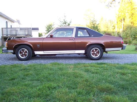 1979 Pontiac Phoenix - Information and photos - MOMENTcar