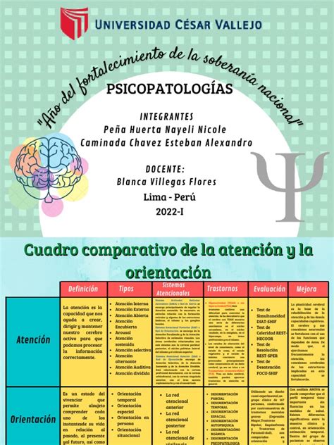 Cuadro Comparativo Pdf Cerebro Atención