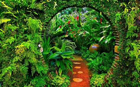 Serene Garden Path - HD Wallpaper