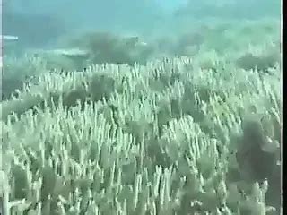 Free Aqua Porn Videos Xhamster