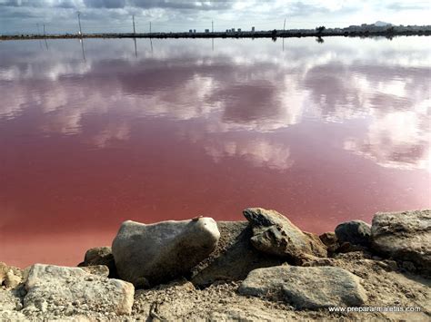 Las Salinas De San Pedro Del Pinatar Murcia Preparar Maletas