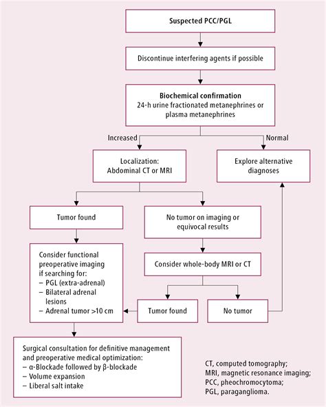 Figure Diagnostic Algorithm For Suspected Pheochromocytoma