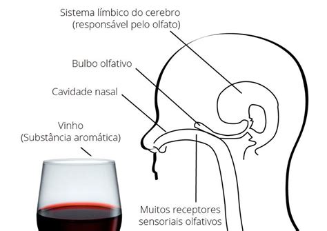 Pin Em Tudo Sobre Vinhos