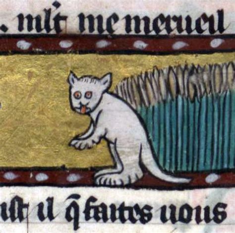 Medieval Cat Paintings That Will Crack You Up Art