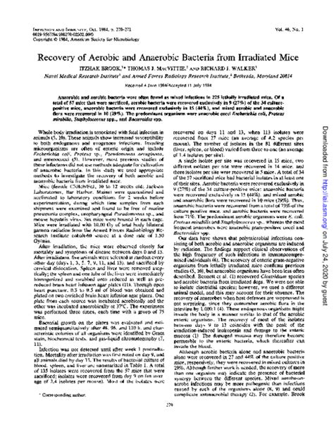 Pdf Recovery Of Aerobic And Anaerobic Bacteria From Irradiated Mice