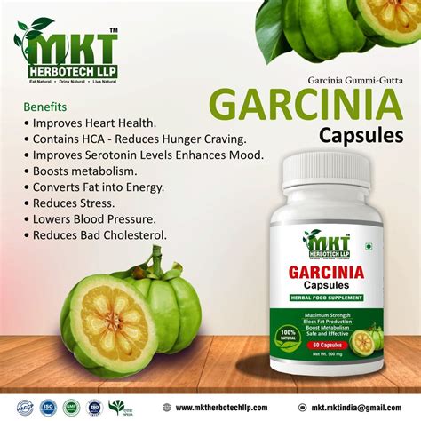 Garcinia Capsules At Rs 75 Bottle Garcinia Cambogia Capsules In