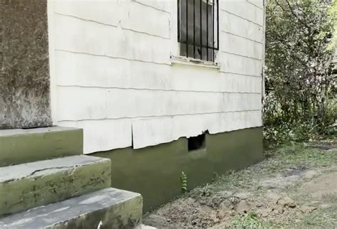 Will Lacey Fletcher Crime Scene Photos Ever Be Publicly Released? Image 16
