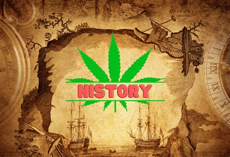 Historia del Cannabis Una poderosa narración de curación y