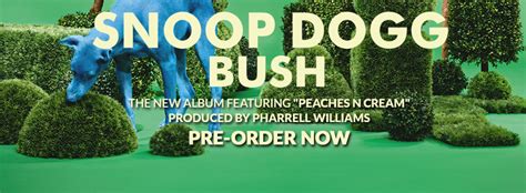 Das Neue Snoop Dogg Album Bush Erscheint Heute About Musïc