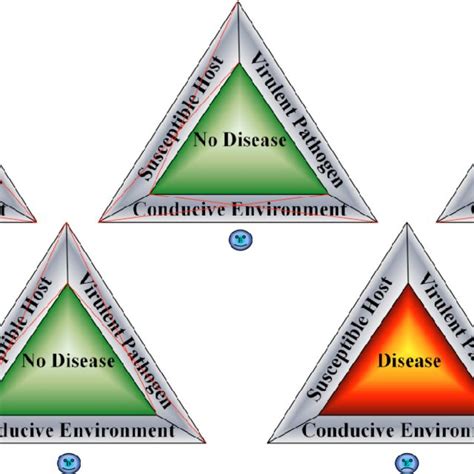 (PDF) Plant Disease Epidemiology: Disease Triangle and Forecasting Mechanisms In Highlights