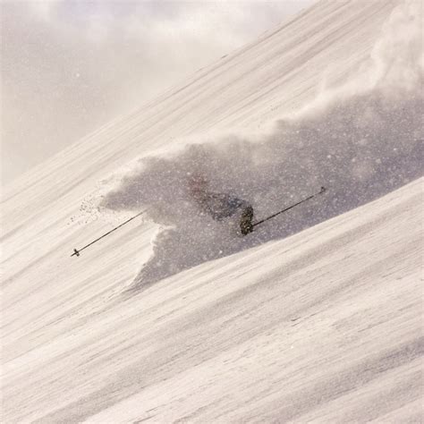Irwin Guides - catskius
