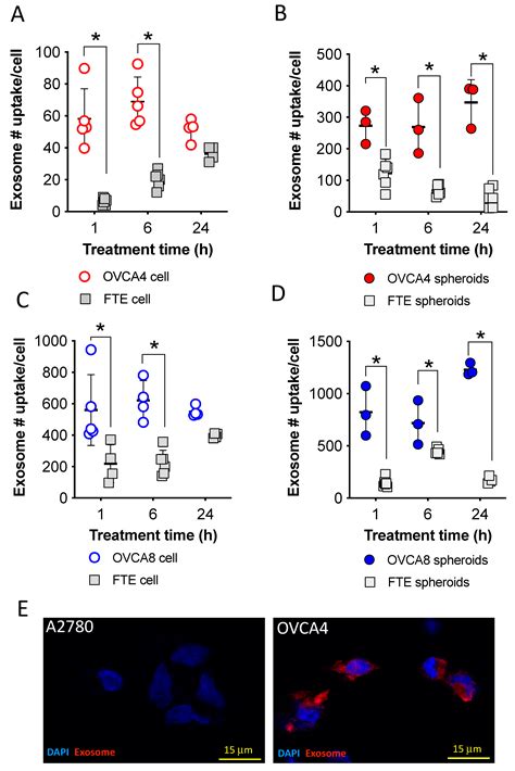 Ijms Free Full Text Understanding Of Ovarian Cancer Cell Derived