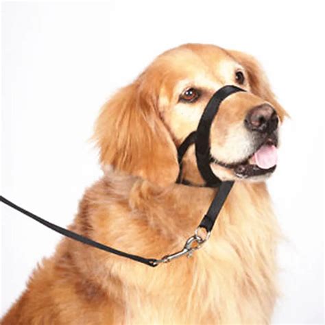 Muzzle For Barking Dog Sekatablet