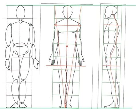 Disegno Di Anatomia Immagini Figure Umane