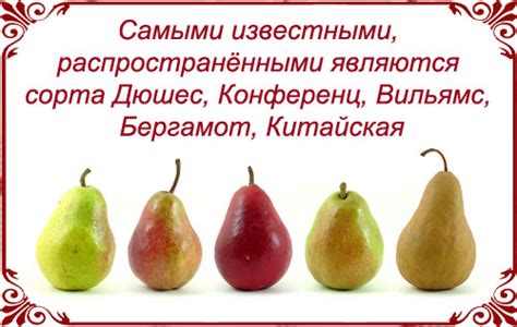 Груша - калорийность, полезные свойства, польза и вред, описание ...
