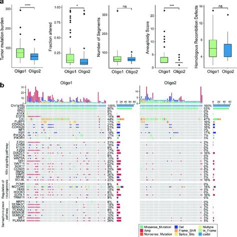 Comparison Of The Dna Alterations Between Immune Subtypes In Tcga Download Scientific Diagram