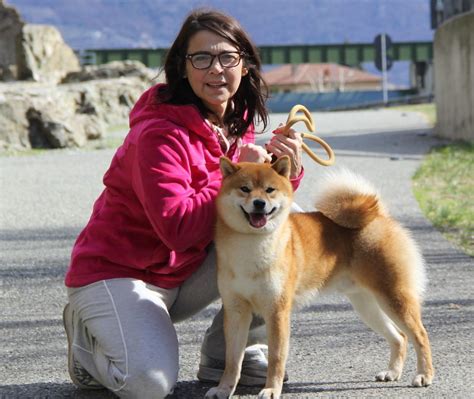 Sono Disponibili Nuovi Cuccioli Di Shiba Inu Ed Eurasier Giardini Di