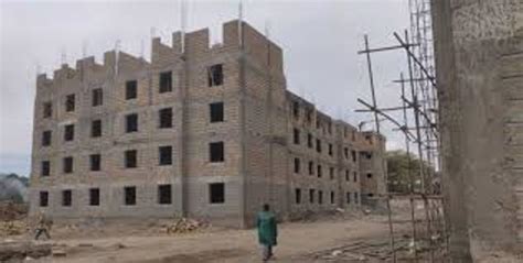 Shelter Afrique eyes diaspora inflows for affordable housing - kenya