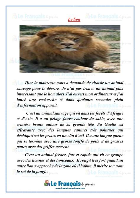 Le lion Le français du primaire