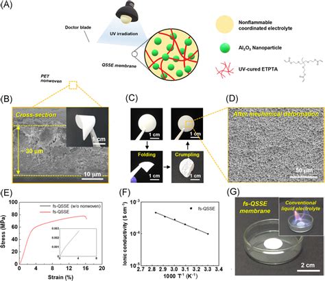 Pet Nonwovenframed Qsse Membranes Fsqsse Membranes A Schematic